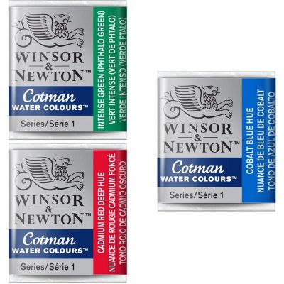 Winsor e Newton - Acquarello mezzo Godet